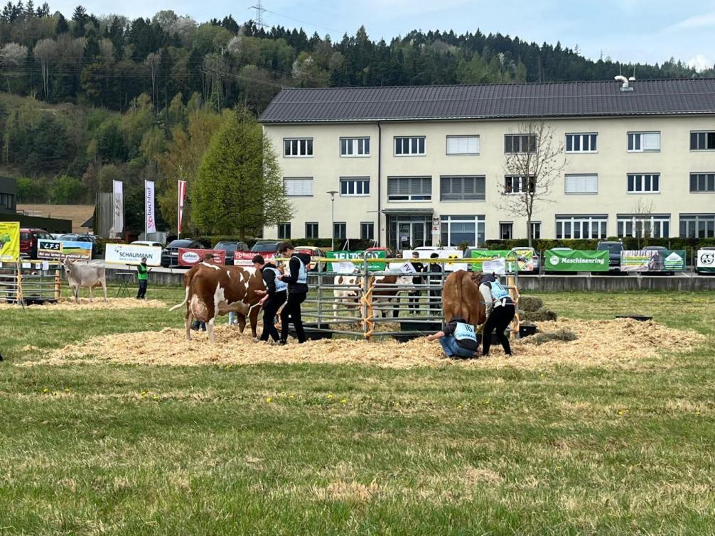 Tierbeurteilung