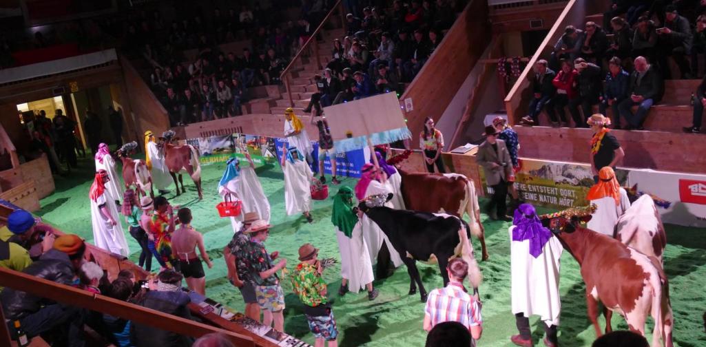 Schulwettbewerb Maishofer 2022 3