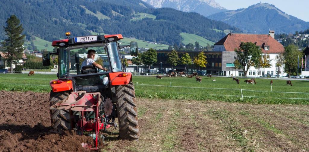 Braugerste 2 Braugerste 2